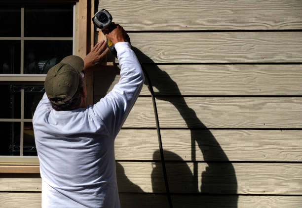 Best Fiber Cement Siding Installation  in International Falls, MN