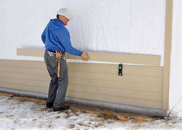 Best Vinyl Siding Installation  in International Falls, MN